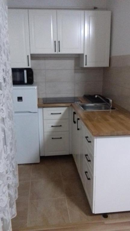 Kuchyň nebo kuchyňský kout v ubytování Tiszafa Apartman