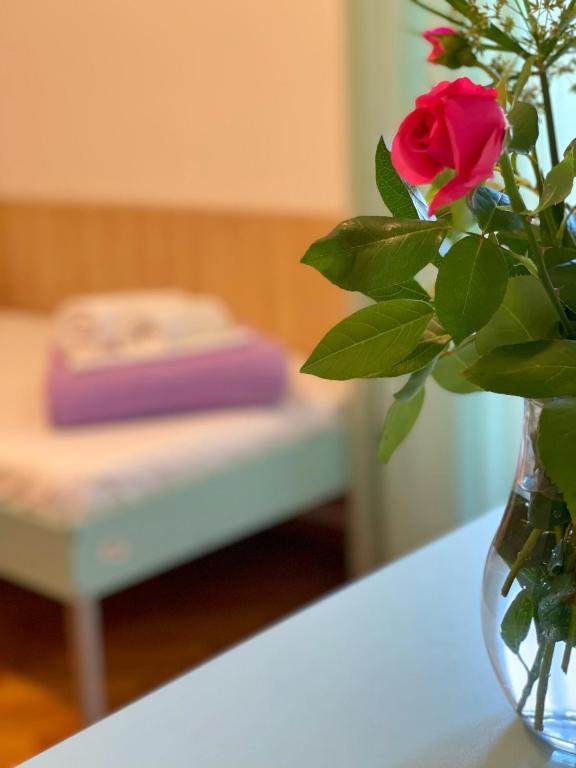 Postelja oz. postelje v sobi nastanitve Hostel Spinut