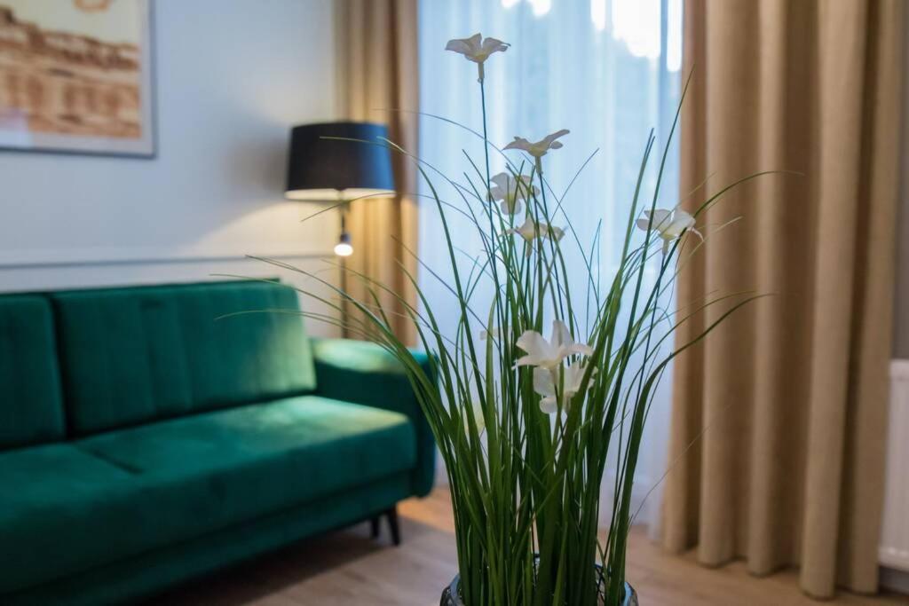 托倫的住宿－Domek z Piernika，客厅设有绿色沙发和花瓶