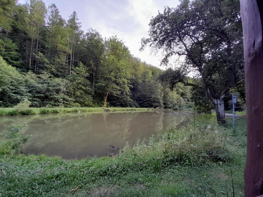 Příroda nedaleko apartmánu