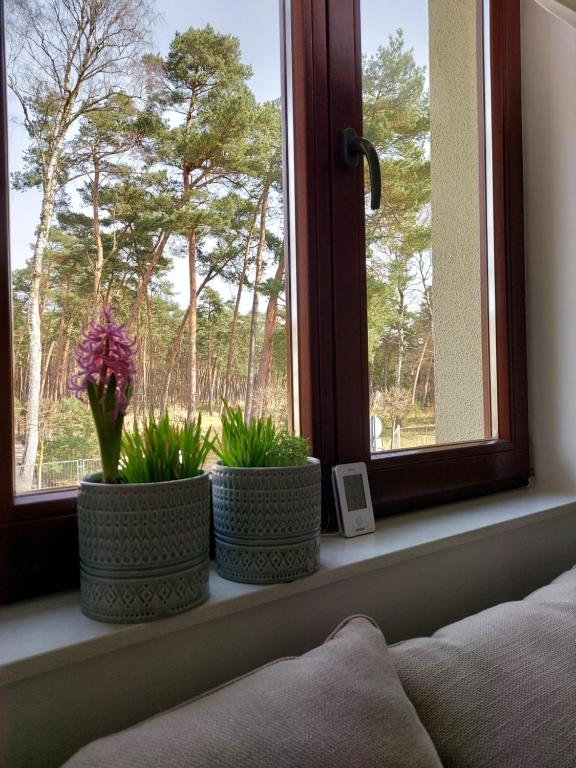 Posezení v ubytování Maritima's Home