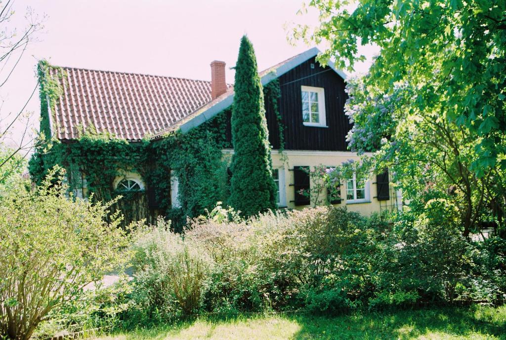 Wola Krakowiańska的住宿－Willa Reglówka，旁边是种常春藤的房子