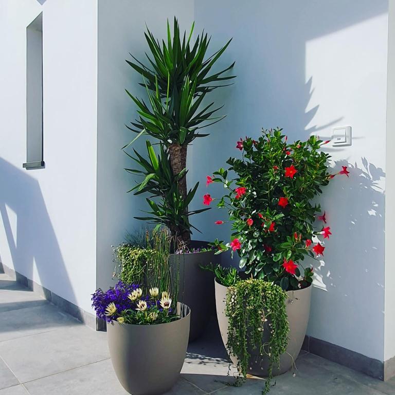 Fotografie z fotogalerie ubytování Villa Jasmin v destinaci Finestrat