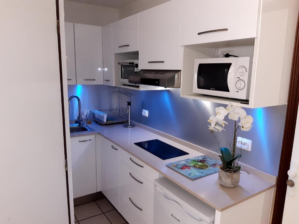 Kuchyň nebo kuchyňský kout v ubytování Studio Climatisé - Piscine-Plage - 1 à 2 personnes