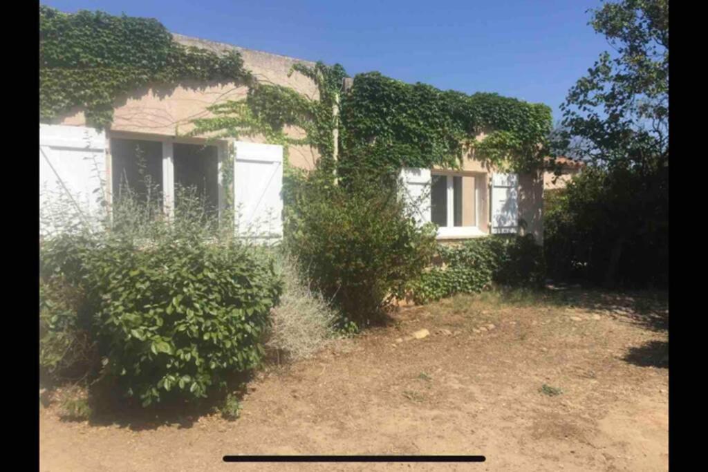 a house with ivy growing on the side of it at Adorable guest house en pleine nature,la nautique in Narbonne