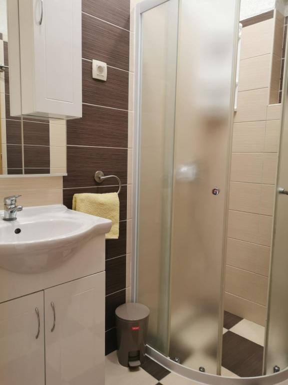Koupelna v ubytování Apartman Ante