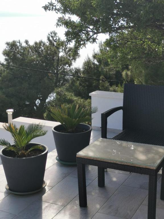 Zahrada ubytování Apartman Ante