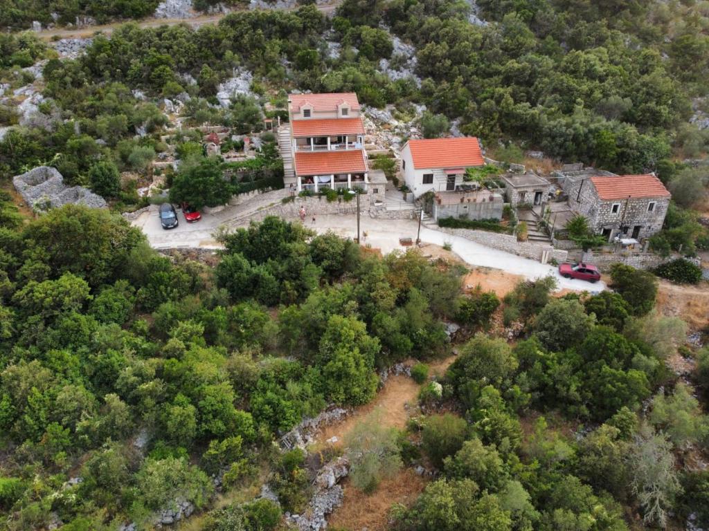 una vista aérea de una casa en un bosque en Apartments LeviAna, en Saplunara