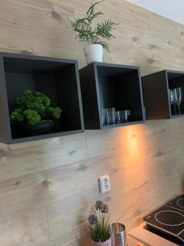 Köök või kööginurk majutusasutuses Apartmány LUXOR
