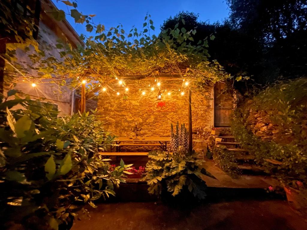 un jardín de noche con luces y plantas en Ca' dei Merli - charming Italian village house, en Degna