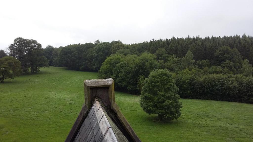 Příroda nedaleko hotelu