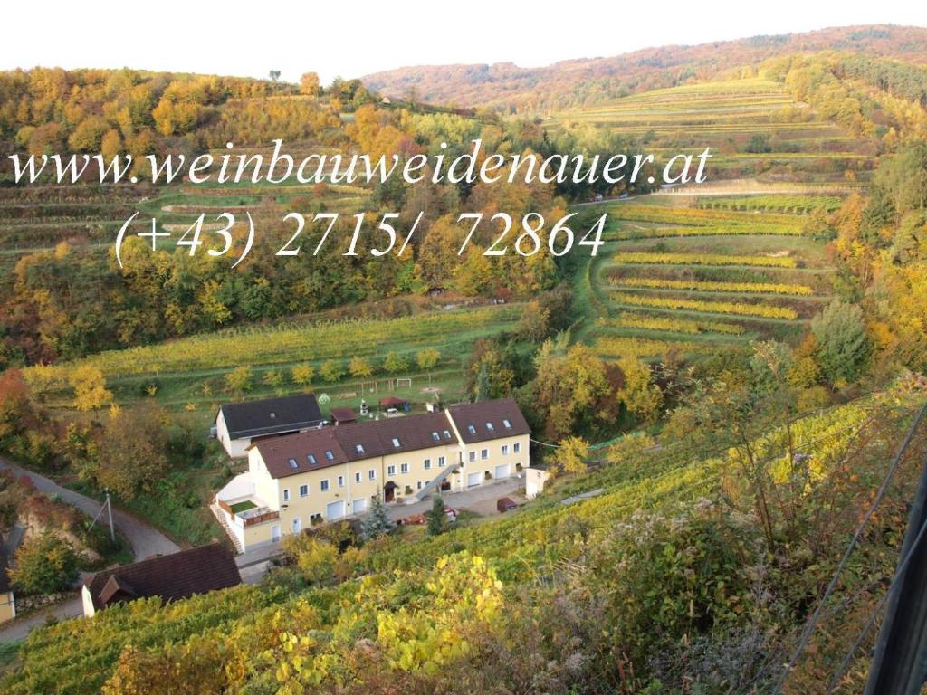 an aerial view of a building in a vineyard at Weinbau Weidenauer in Wösendorf