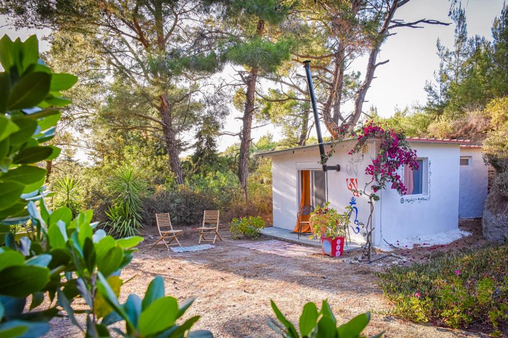 een klein wit huis met twee stoelen en bloemen bij Drolma Ling Nature Cabins in Theologos