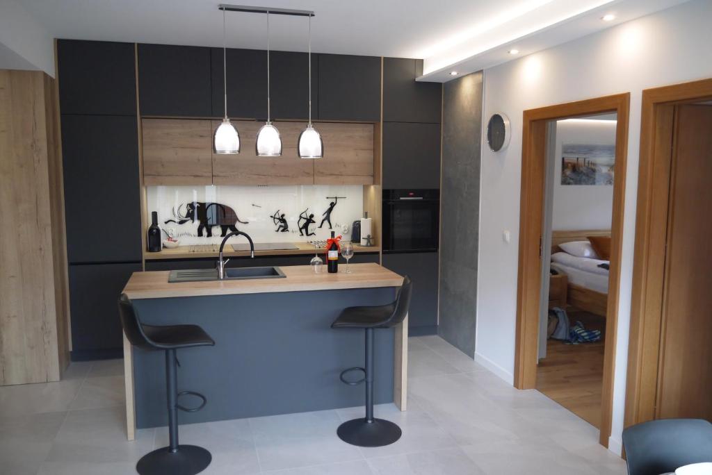 Кухня или мини-кухня в Nowy Apartament Zygmunta Premium
