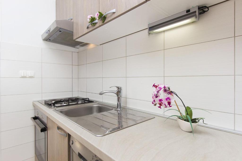 Kuchyň nebo kuchyňský kout v ubytování Apartments Lenija