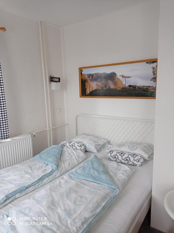 a white bed with pillows on it in a room at Pension U Václava in Janov