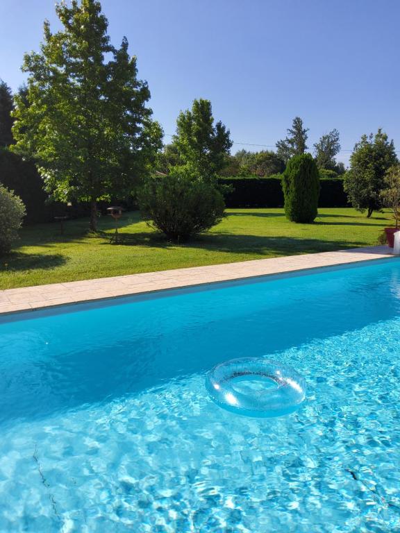 einem blauen Pool mit Frisbee im Wasser in der Unterkunft Suite spacieuse avec entrée privative in Lédat
