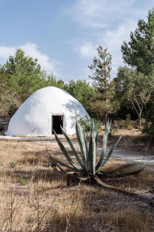 Agroturismo Can Domo, Santa Eularia des Riu – Bijgewerkte ...
