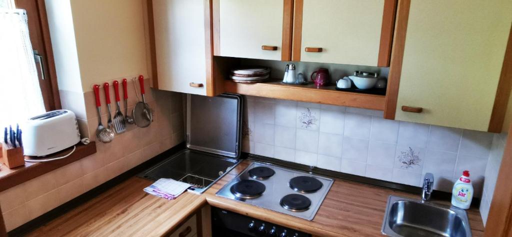 małą kuchnię z kuchenką i zlewem w obiekcie Ferienwohnung w mieście Bad Kleinkirchheim