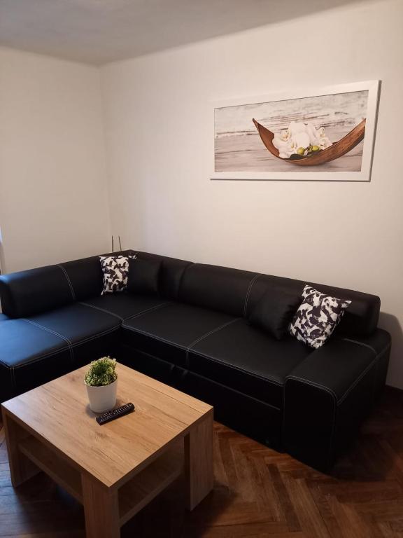 a black couch in a living room with a coffee table at Apartmán Matěj in Poděbrady