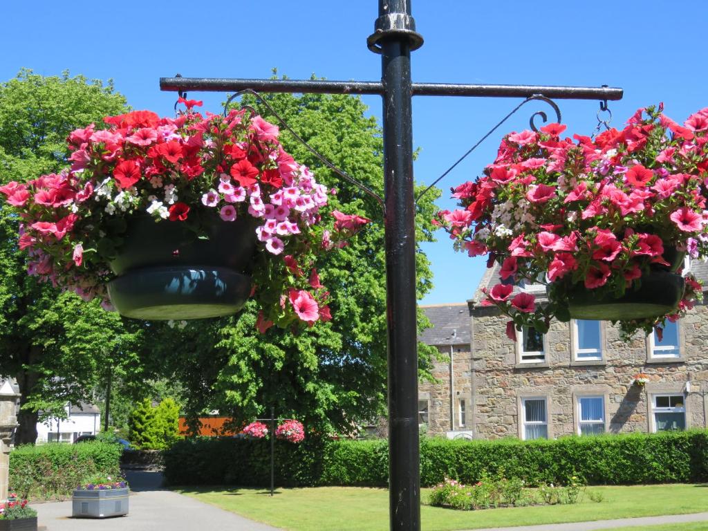 two hanging baskets of flowers on a street light at Bankhouse B&B in Aberlour