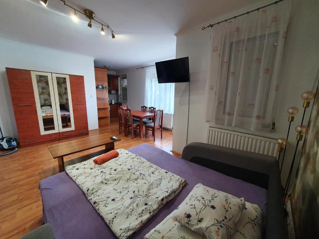 1 dormitorio con 1 cama y sala de estar en Fischer Apartman 3, en Hajdúszoboszló