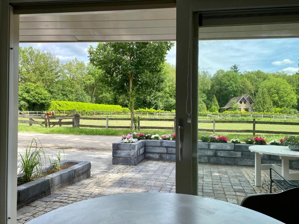 vista para um jardim a partir de uma janela do pátio em Overnachting Vanjewelste em Enschede