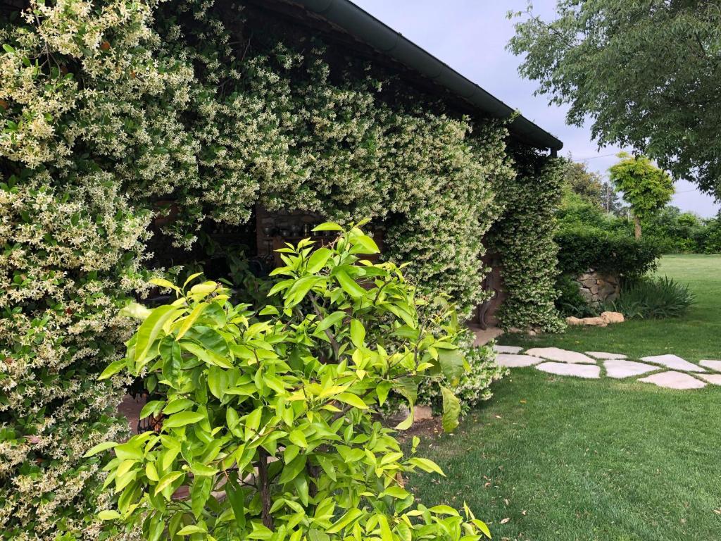 B&B BAGOLARI