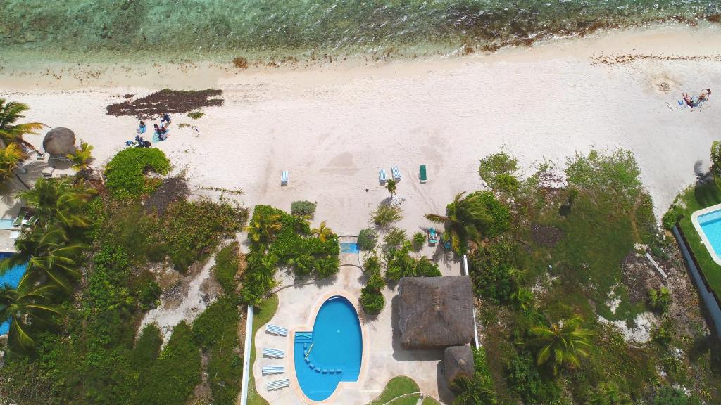 Akumal Tanik photo