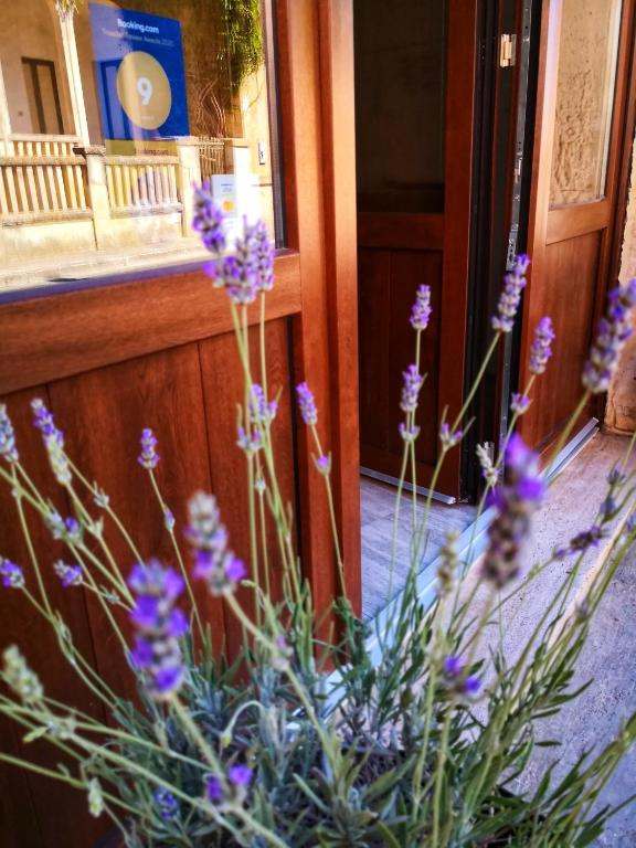 Fotografie z fotogalerie ubytování Le Strazzigne v destinaci Marittima