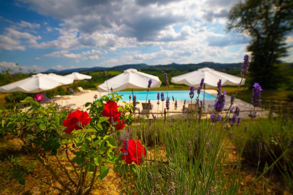 Tuscany Living - Terra Antica