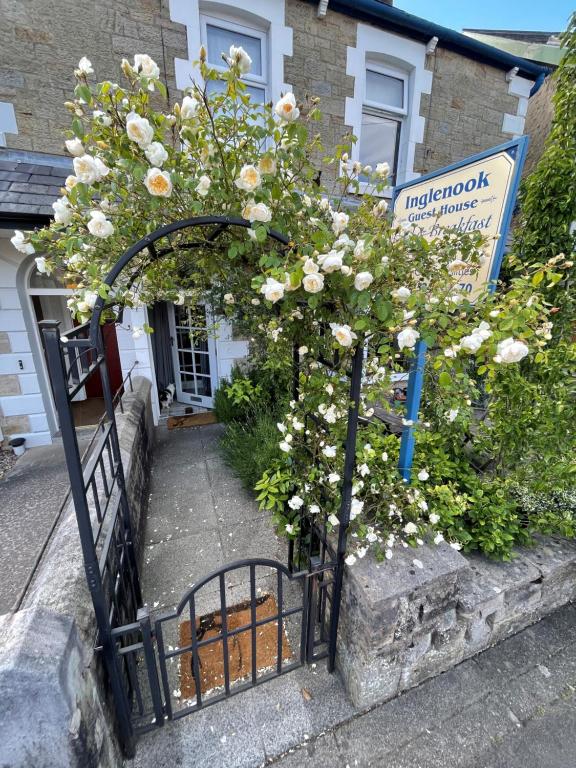 a gate with a bush with white flowers at Inglenook Guest House in Ingleton