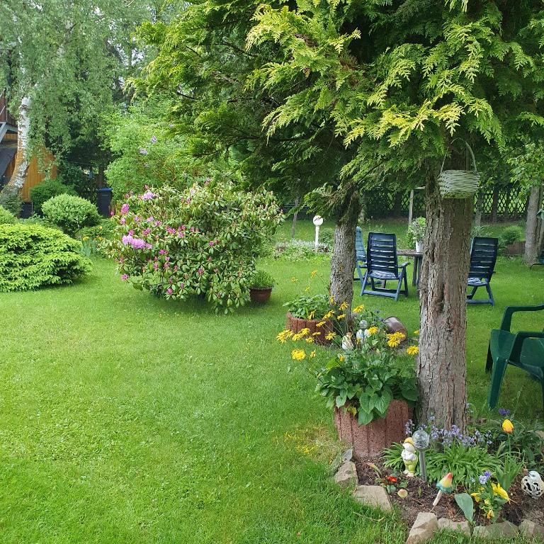 Zahrada ubytování Finnhaus Neubauer