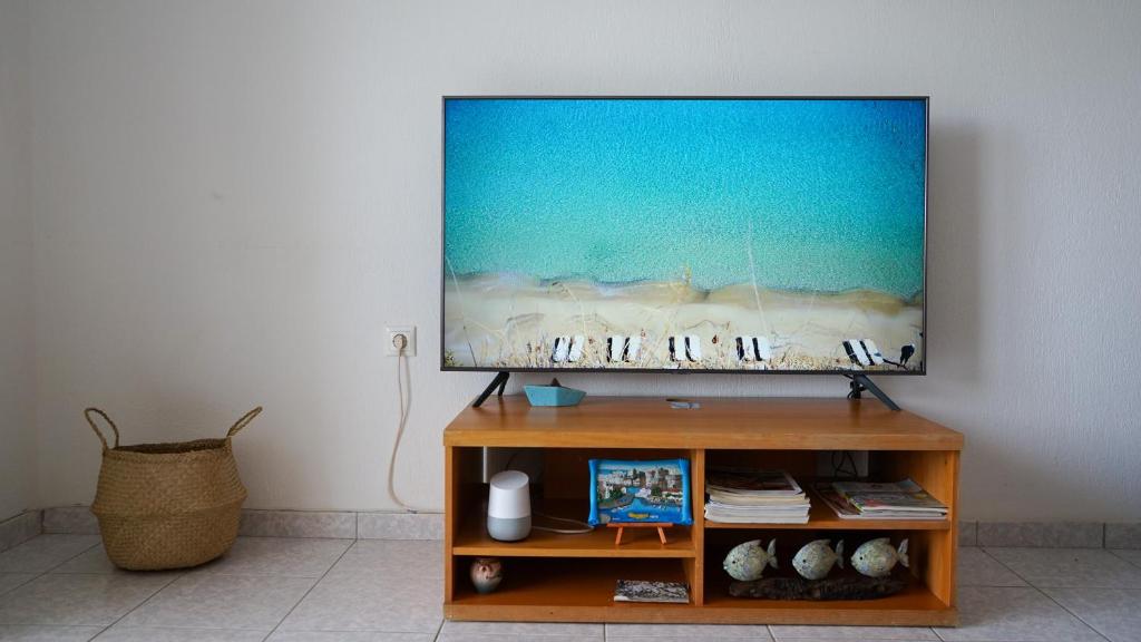 TV a/nebo společenská místnost v ubytování Urban Blue House