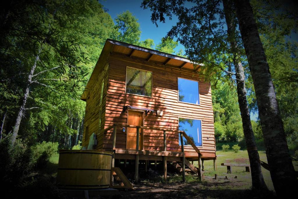 una cabaña de madera en el bosque con árboles en Proyecto COYAM, cabañas lofts, tinas privadas, sendero por el bosque en Villarrica