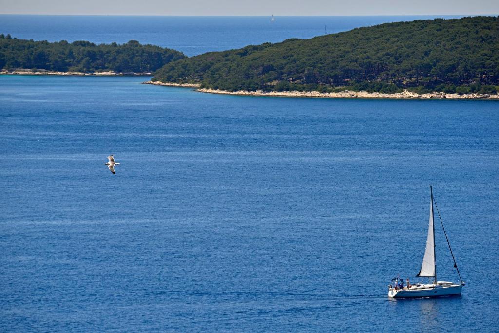 Apartments Viskovic Margita - 17