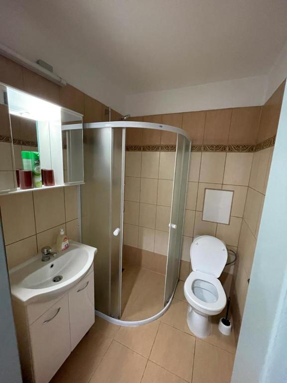 a bathroom with a shower and a toilet and a sink at Apartmány - Školní in Chomutov