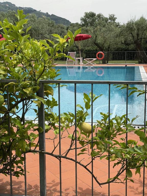 Bazén v ubytování In Versilia nebo v jeho okolí