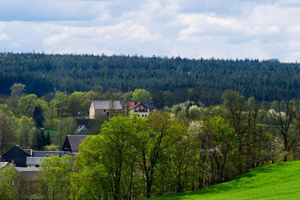 Příroda nedaleko apartmánu