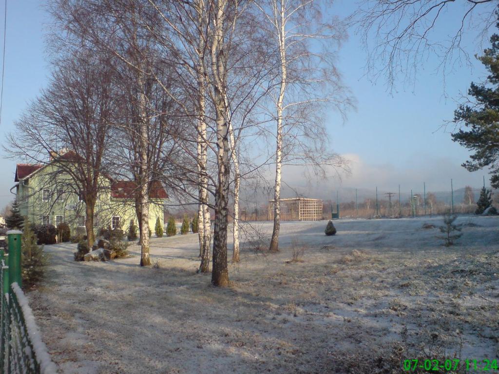 a group of trees in a field with a house at Pension U Václava in Janov