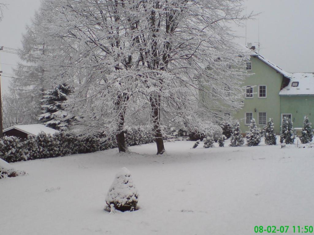 a snowman sitting in the snow in front of a house at Pension U Václava in Janov
