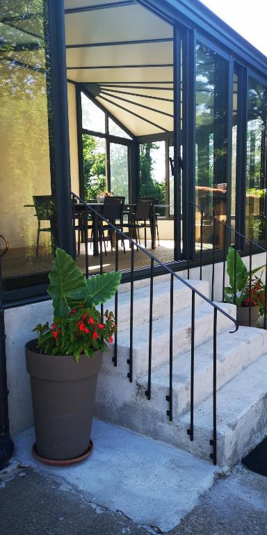 une terrasse couverte avec une plante en pot à côté d'un bâtiment dans l'établissement Château Cantelaube, à Saint-Émilion