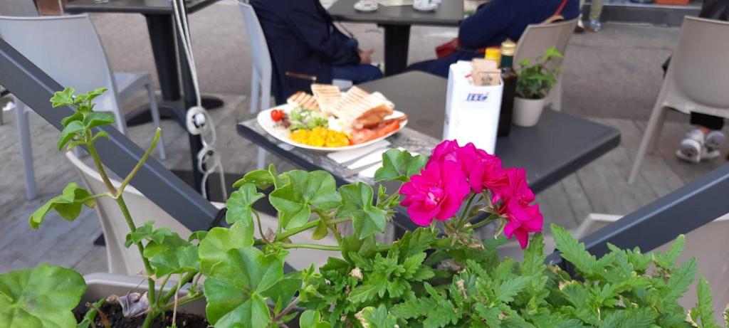 Hotel Sonya - Resim 31