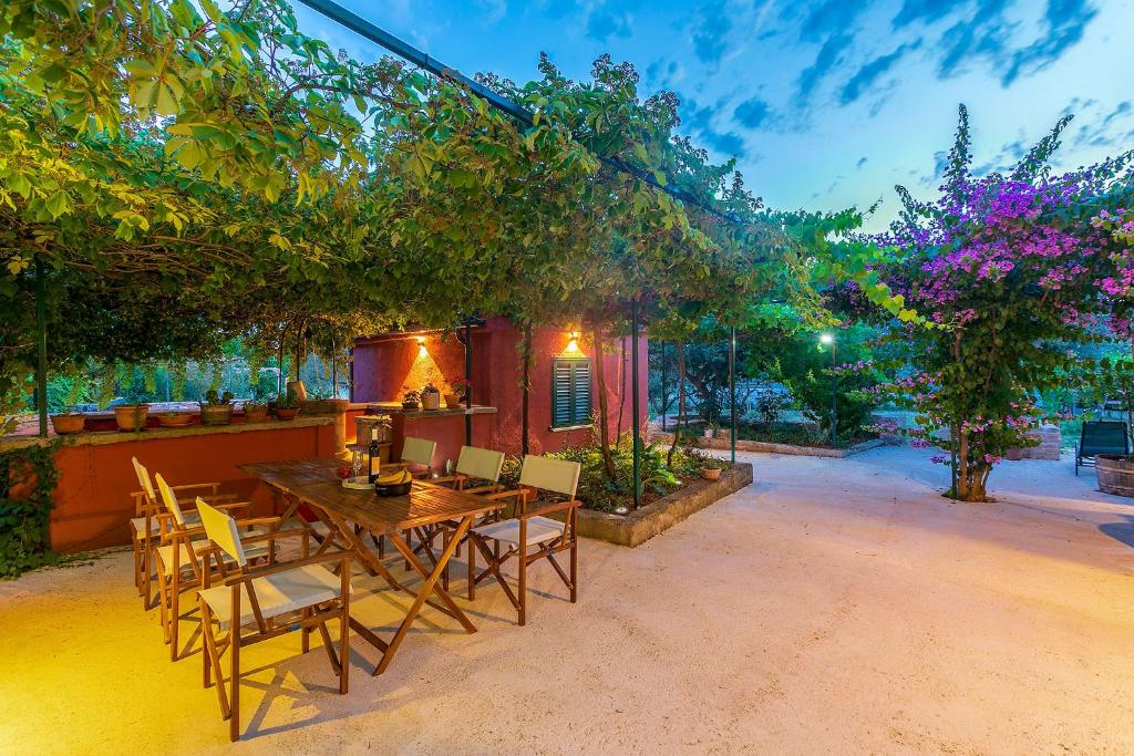 House Bougainvillea