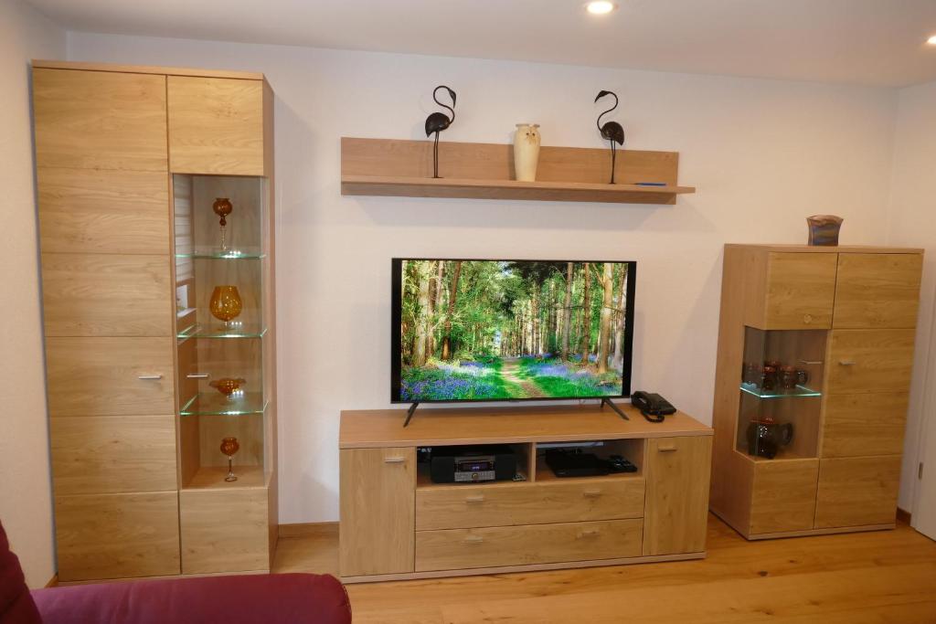 TV a/nebo společenská místnost v ubytování 4 Sterne Ferienwohnung Sommerberg inklusive Gästekarte