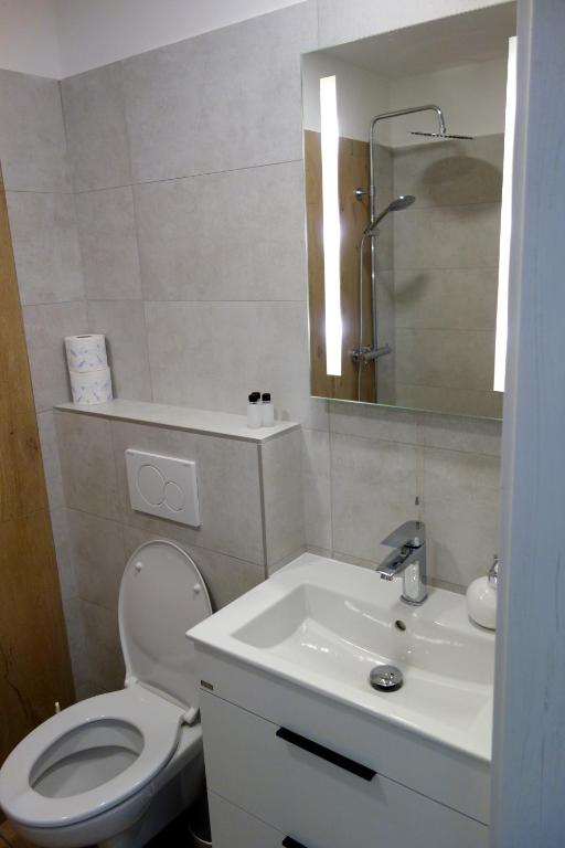 Kúpeľňa v ubytovaní Apartmány pod Soláněm
