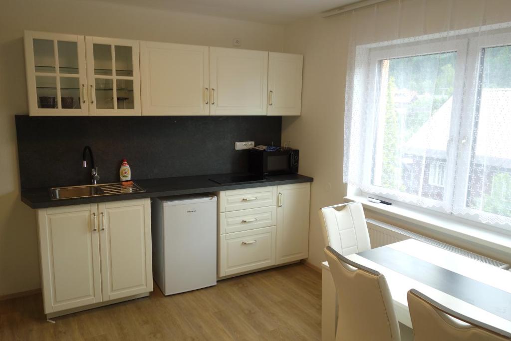 Kuchyňa alebo kuchynka v ubytovaní Apartmány pod Soláněm