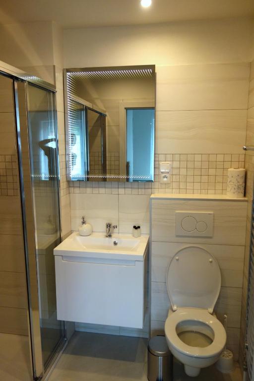 Kúpeľňa v ubytovaní Apartmány pod Soláněm