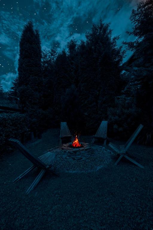 Fotografie z fotogalerie ubytování Casa Traian v destinaci Sinaia