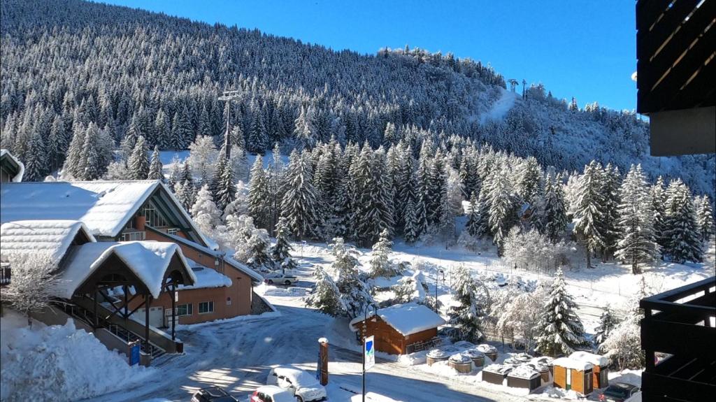 uma casa coberta de neve com uma montanha ao fundo em L'Alpette em Oz